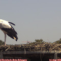 13_30-mast.jpg
