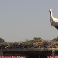13_40-mast.jpg