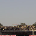 13_45-mast.jpg