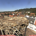 13_45-nest.jpg