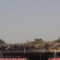 13_50-mast.jpg