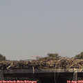 13_55-mast.jpg