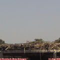 14_00-mast.jpg