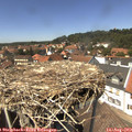 14_00-nest.jpg
