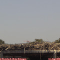 14_05-mast.jpg