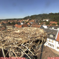 14_05-nest.jpg