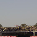 14_10-mast.jpg