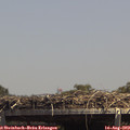 14_15-mast.jpg