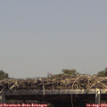14_25-mast.jpg