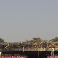 15_00-mast.jpg