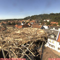 15_15-nest.jpg