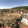 15_35-nest.jpg