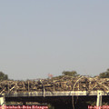 16_10-mast.jpg