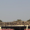 16_50-mast.jpg