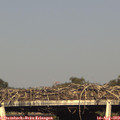 18_10-mast.jpg