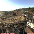 18_15-nest.jpg