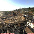 18_30-nest.jpg