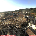 18_35-nest.jpg