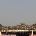 18_40-mast.jpg