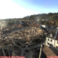 18_55-nest.jpg