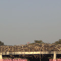 19_05-mast.jpg