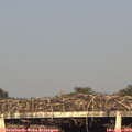 19_10-mast.jpg
