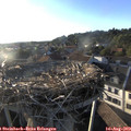 19_20-nest.jpg