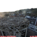 20_30-nest.jpg