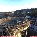 06_40-nest.jpg