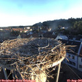 06_45-nest.jpg
