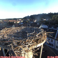06_50-nest.jpg
