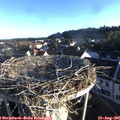 07_10-nest.jpg