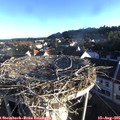 07_15-nest.jpg