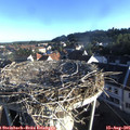 07_25-nest.jpg