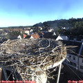 07_30-nest.jpg