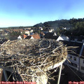 07_35-nest.jpg