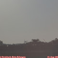 07_40-mast.jpg