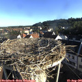 07_40-nest.jpg