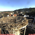 07_45-nest.jpg