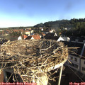 07_50-nest.jpg