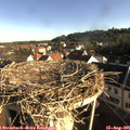 07_55-nest.jpg