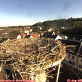 08_00-nest.jpg