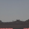 08_20-mast.jpg