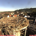 08_20-nest.jpg