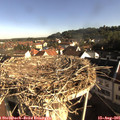 08_30-nest.jpg
