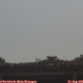09_00-mast.jpg