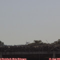 09_45-mast.jpg