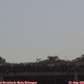 09_50-mast.jpg