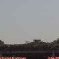 10_05-mast.jpg