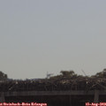 10_15-mast.jpg